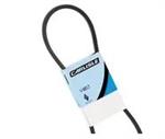 American Sanders Belt, 3L320