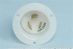 American Sanders Interflanged NEMA L6-20P