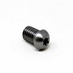 Lagler Screw