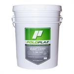 PoloPlaz Fast Dry Sanding Sealer